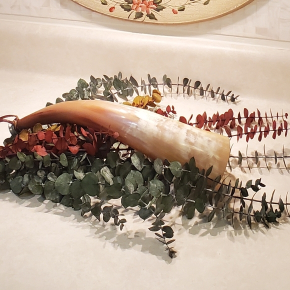 Genuine Cattle Horn Powder Horn - Picture 6 of 8